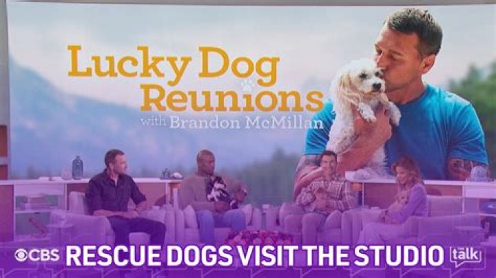 
What We Know About Brandon McMillan ‘The Lucky Dog’ Star’s Family and Career 