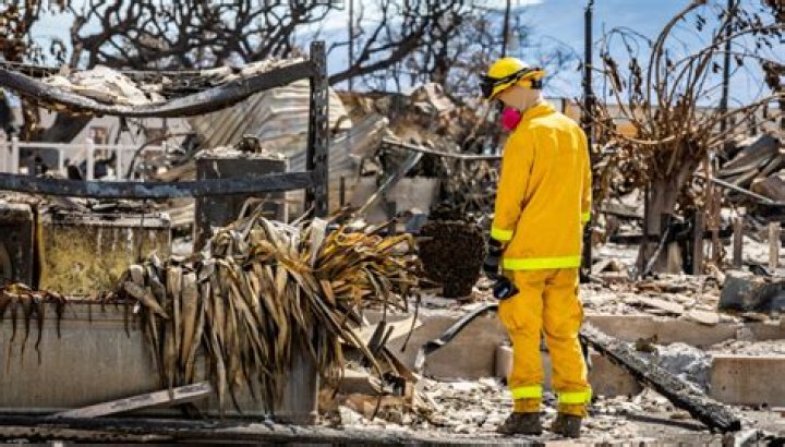 
Who is Herman Andaya? Maui’s emergency chief resigns after severe criticism for wildfire response 